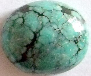 Turquoise taille ovale cabochon 12x10 mm 4.10 carats