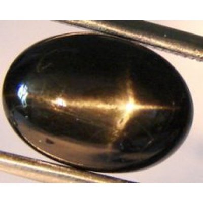 Diopside étoilé ovale cabochon 14x10 mm 6.00 carats