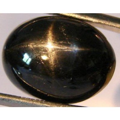 Diopside étoilé ovale cabochon 16x12 mm 12.00 carats