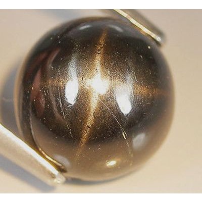 Diopside étoilé rond cabochon 10 mm 5.00 carats