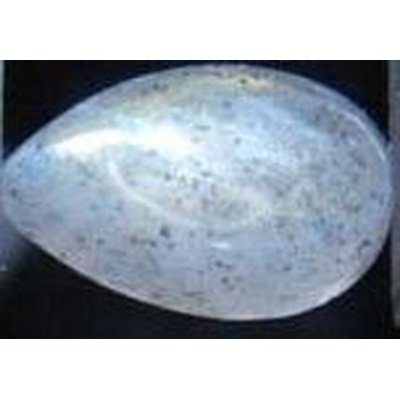 Labradorite naturelle poire cabochon 8x5 mm 1.00 carats