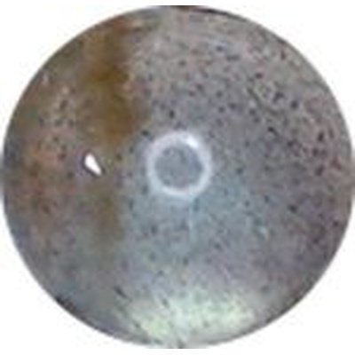 Labradorite naturelle ronde cabochon 5 mm 0.60 carat