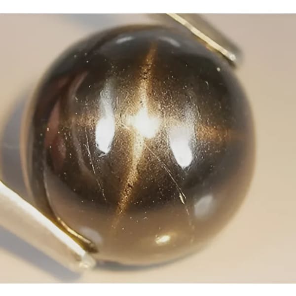 Diopside étoilé rond cabochon 10 mm 5.00 carats