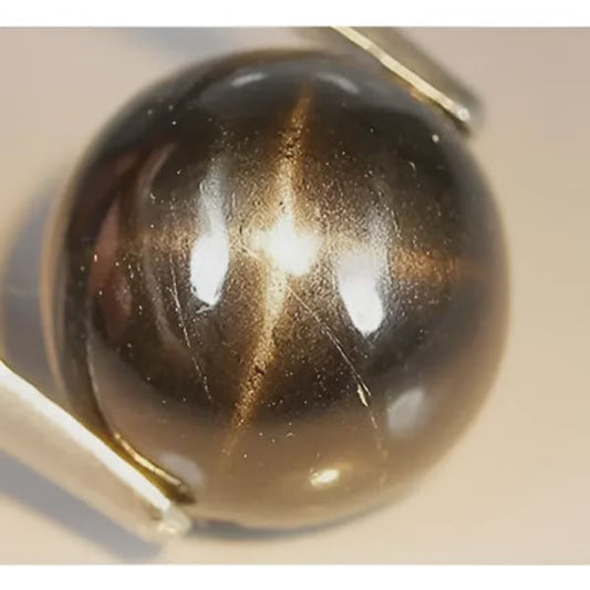 Diopside étoilé rond cabochon 10 mm 5.00 carats