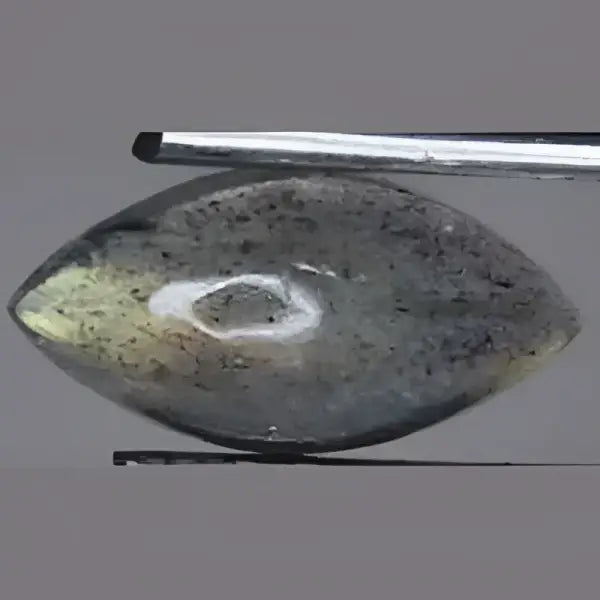 Labradorite naturelle marquise cabochon 8x4 mm 0.70 carat
