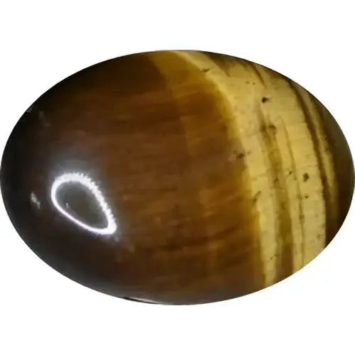 Oeil de tigre ovale 18x13 mm 10.00 carats