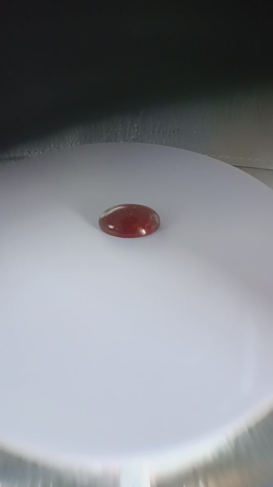 Grenat hessonite ovale cabochon 20x15 mm  16.00 carats
